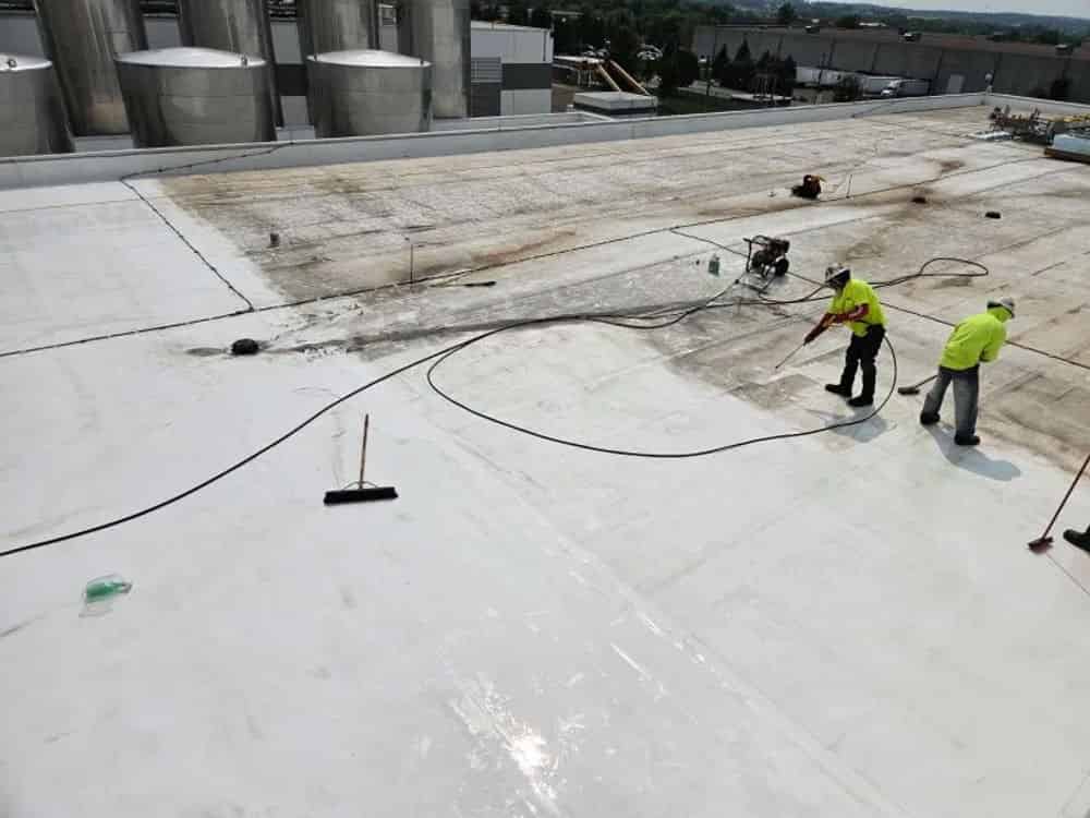 Roof Coatings image